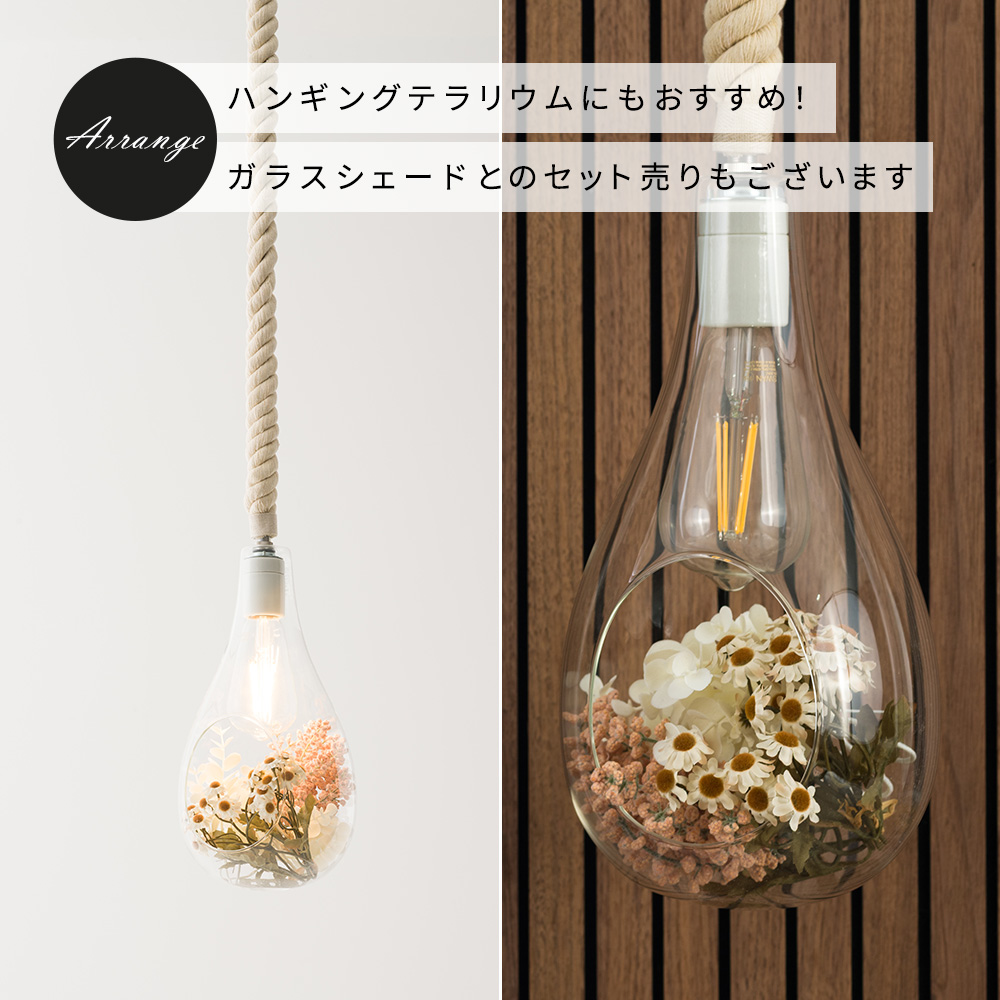 フェイクグリーン「デイジーバンチ」