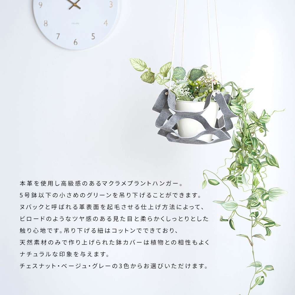 レザープラントハンガー