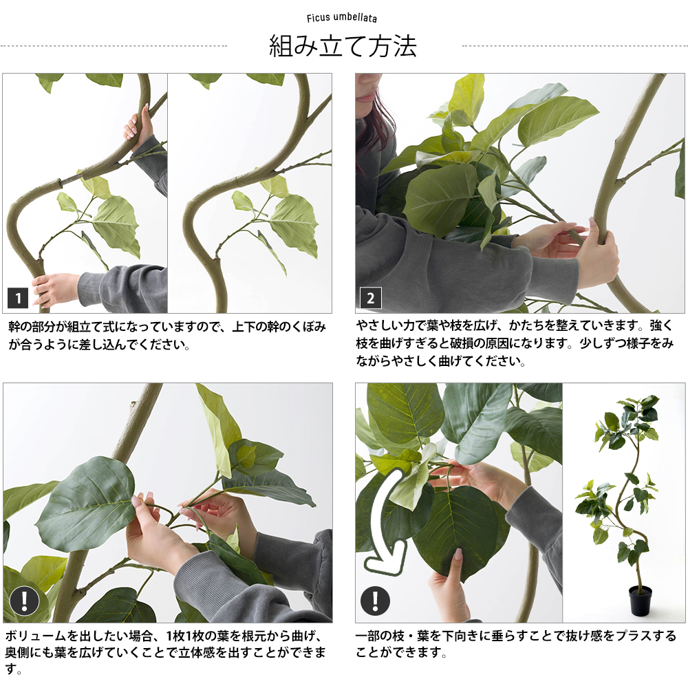 フェイクグリーン「フィカス・ウンベラータの木」