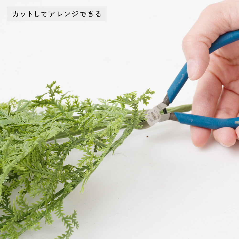 フェイクグリーン「ファーン」