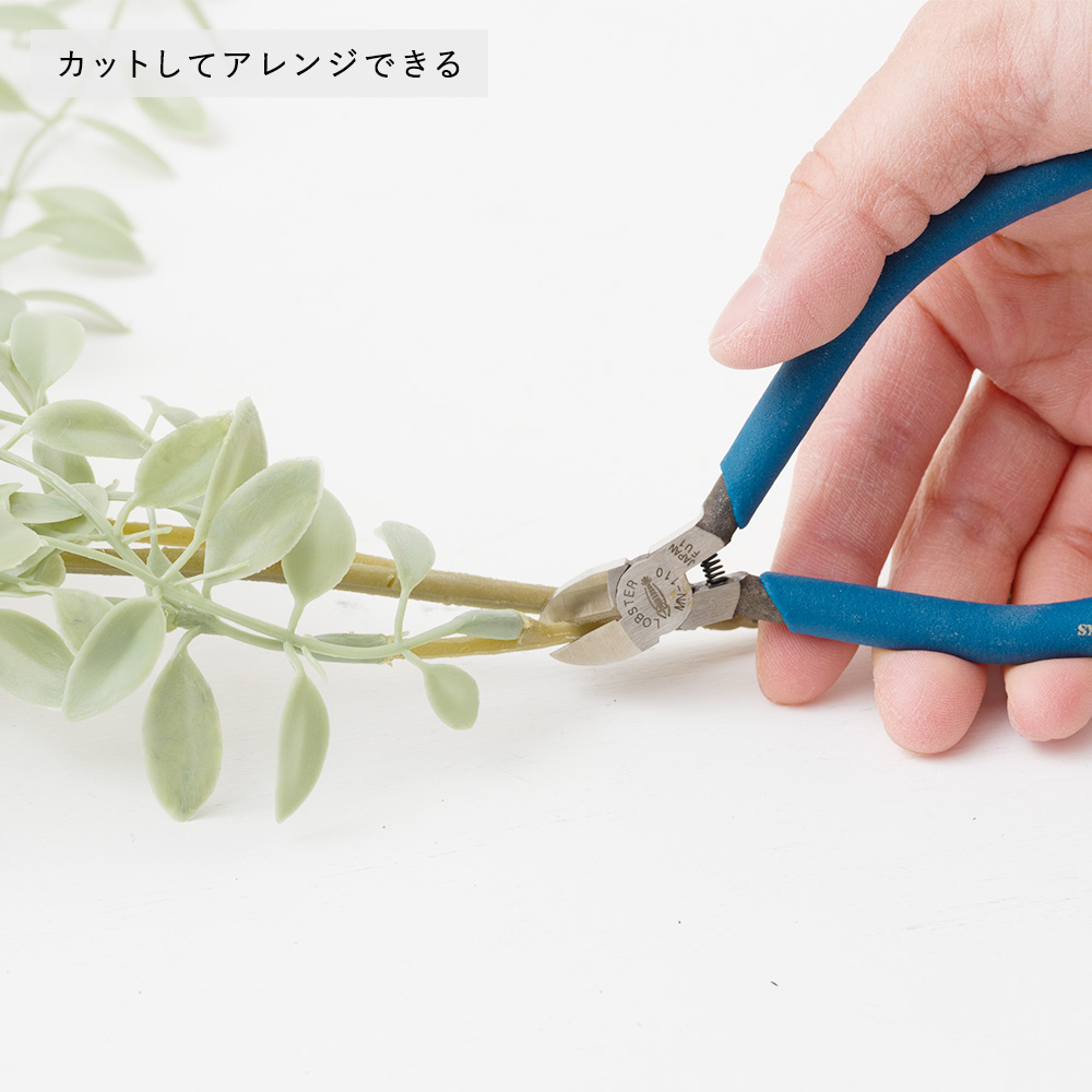 フェイクグリーン「ディスキディア」