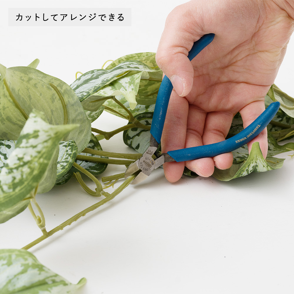 フェイクグリーン「スキンダプサス・ピクタス」