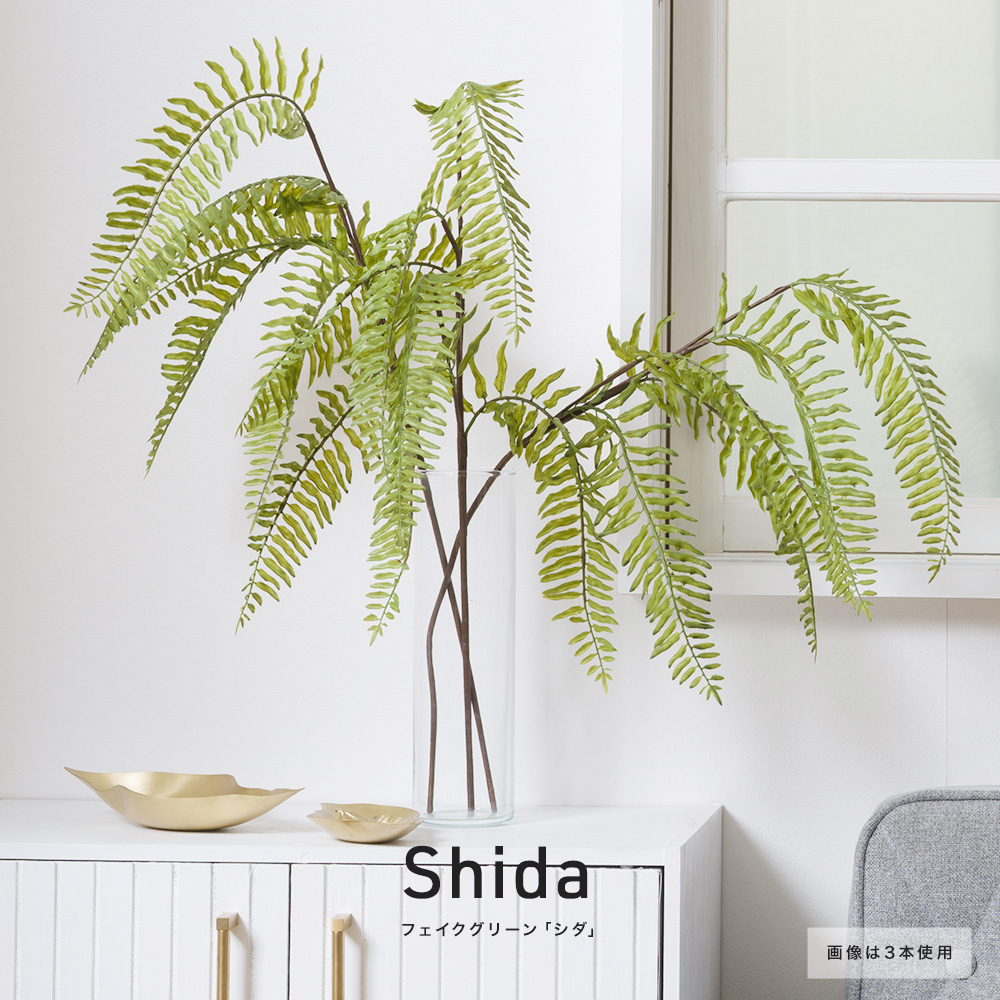 フェイクグリーン「シダ」