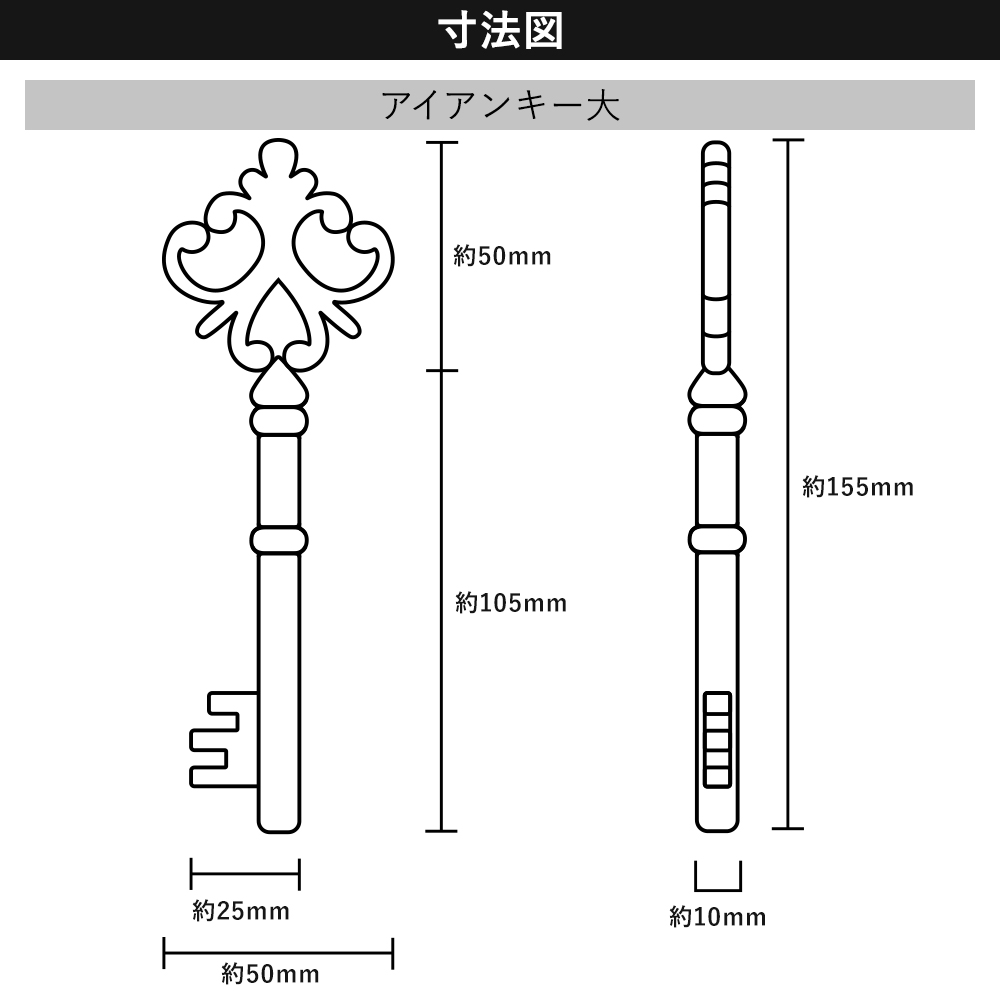 アイアンキー大 寸法図