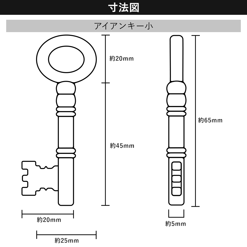 アイアンキー小 寸法図