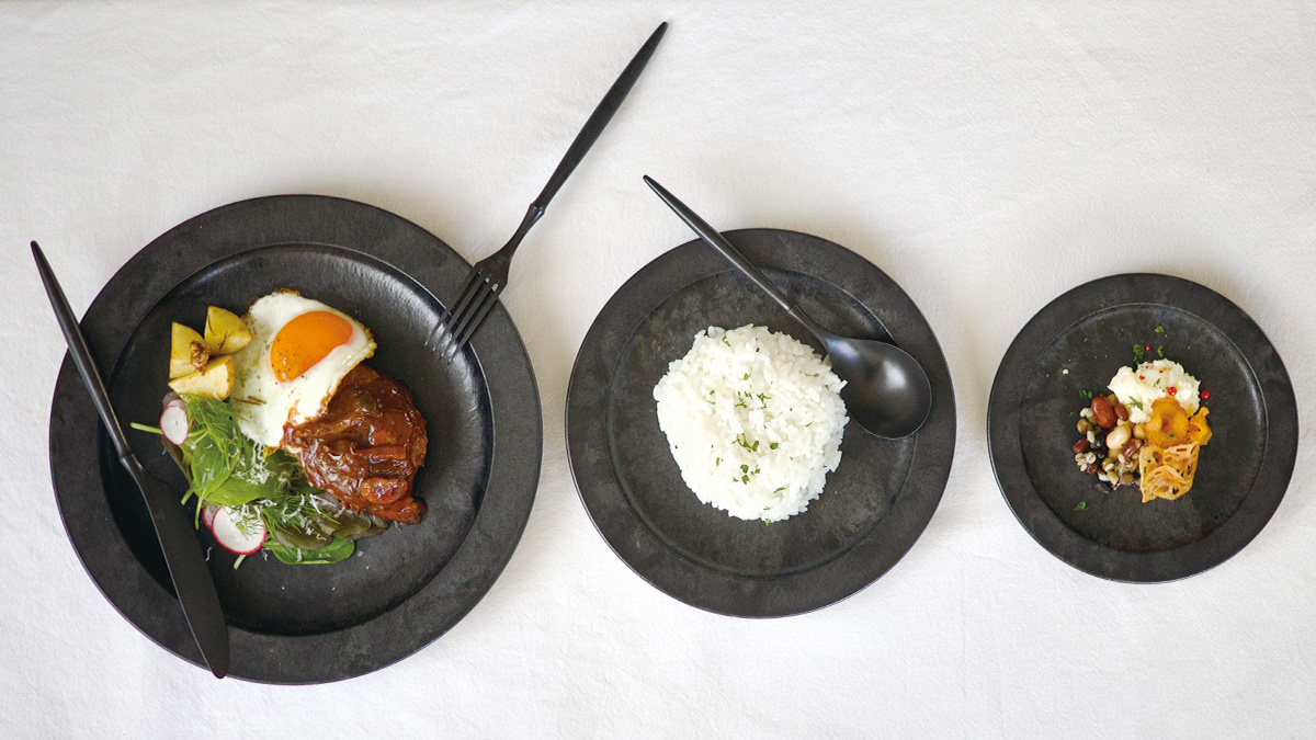 軽くて割れない食器・カトラリー ARAS・エイラス 丸皿 大 HC 電子レンジ対応 